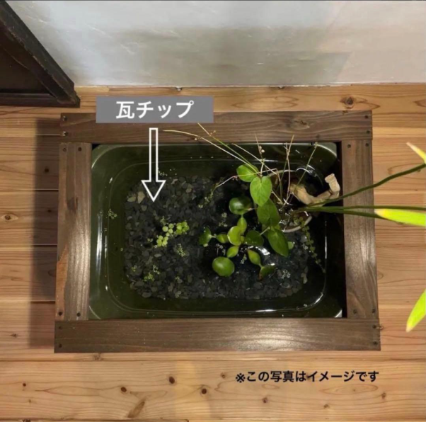 メダカ飼育セット 《木枠・水槽4L・低床セット 》杉材 アンティークグリーン【ビス仕上げ】